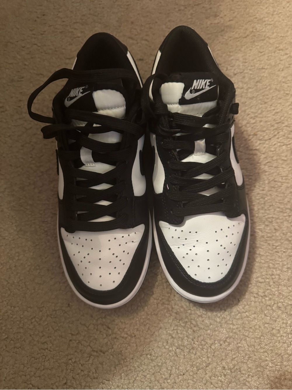 Panda Dunk Low